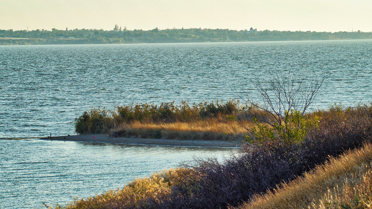 Culinary Adventure in Taganrog