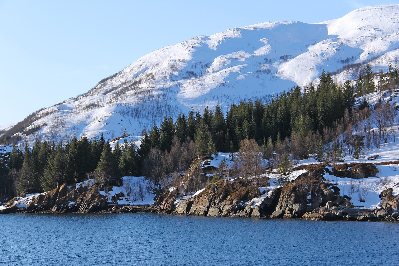 Northern Lights & Arctic Adventures in Kvaløya