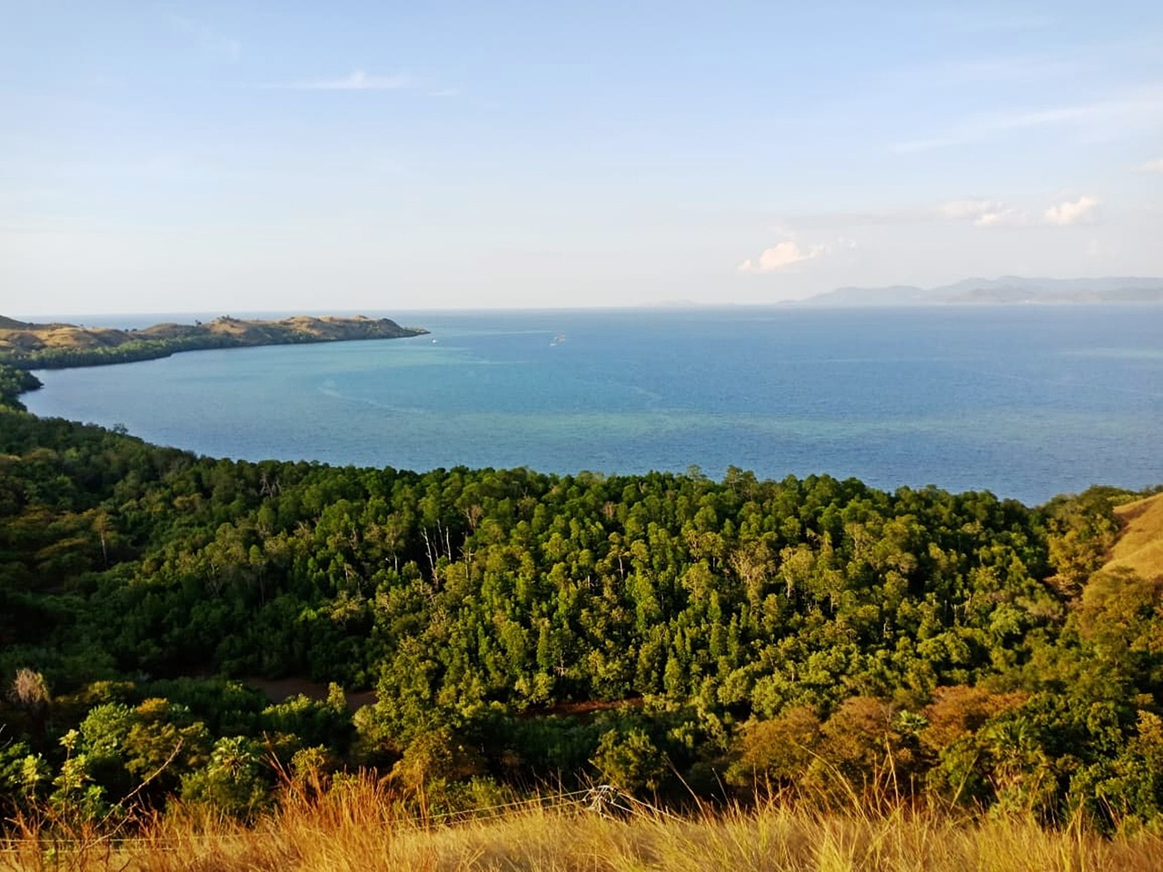 5-Day Komodo National Park Adventure in Labuan Bajo