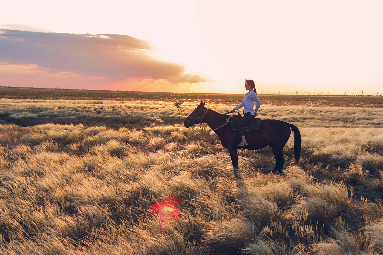 Culinary Delights of Kalmykia: An 8-Day Gastronomic Journey