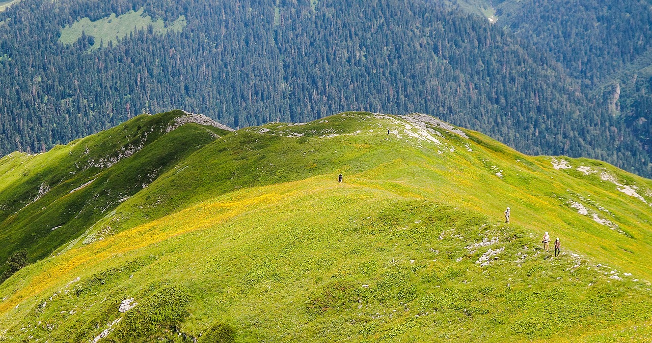 Culinary Delights of Abkhazia: A 5-Day Gastronomic Journey