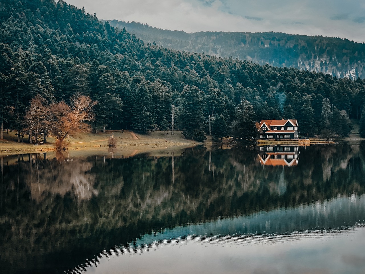 Culinary Delights in Bolu, Turkey