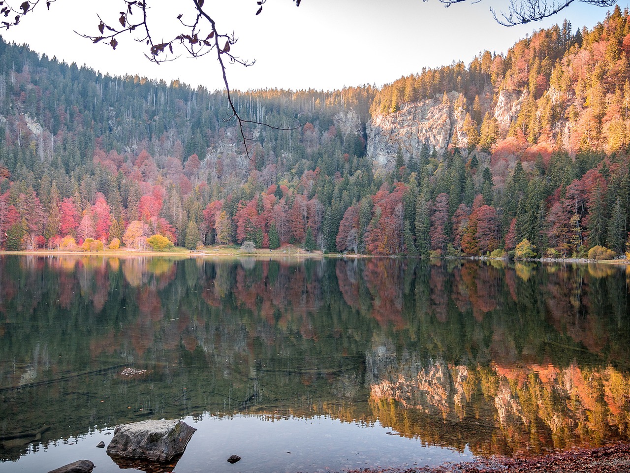 Black Forest Adventure: 5-Day Exploration in Feldberg