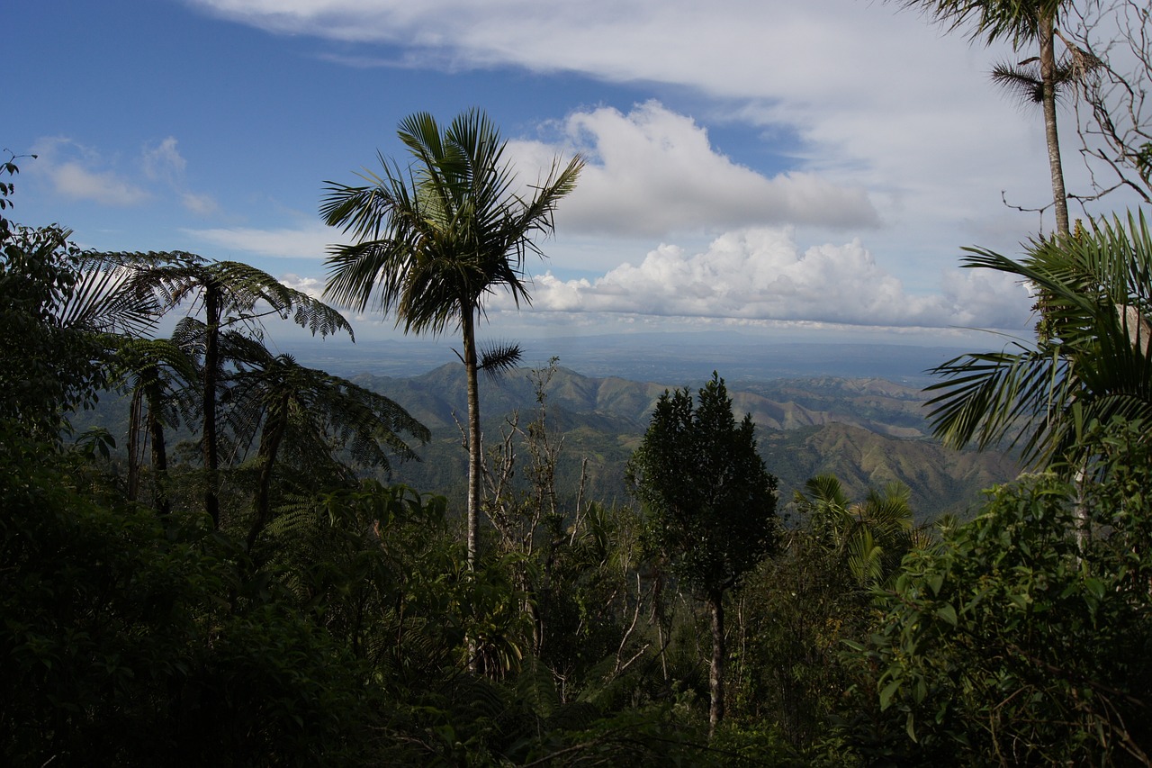 Culinary Delights of Santiago de Cuba