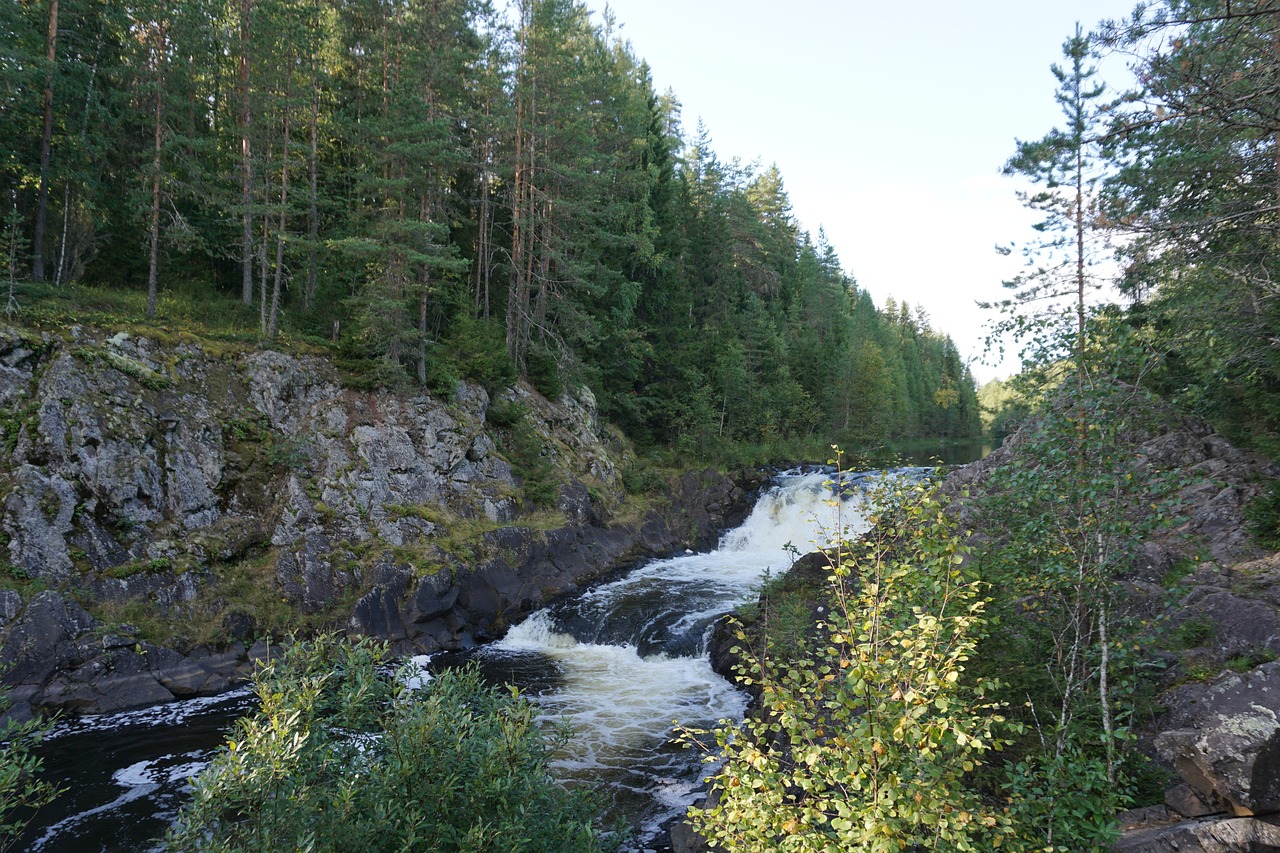 Culinary Delights in Petrozavodsk