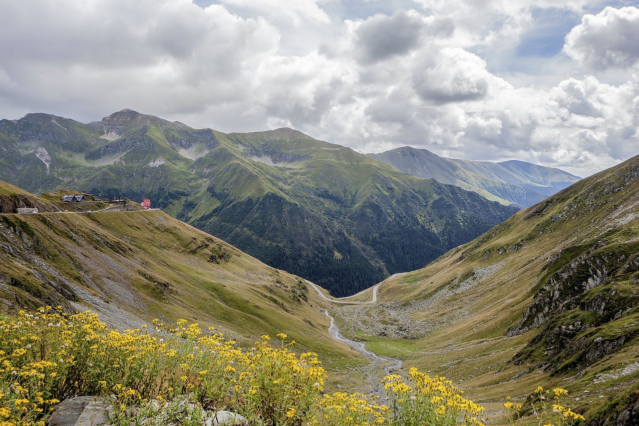 Ultimate Winter Adventure in Transfăgărășan