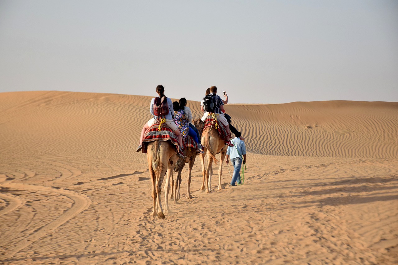 Hatta Adventure Day Trip: Biking, Kayaking, and Heritage Sites