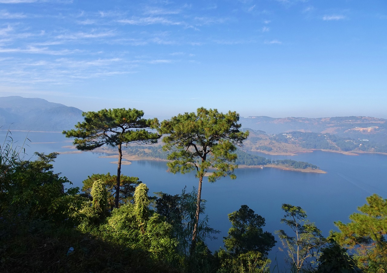 Explorando la Naturaleza del Noreste de India en 5 Días