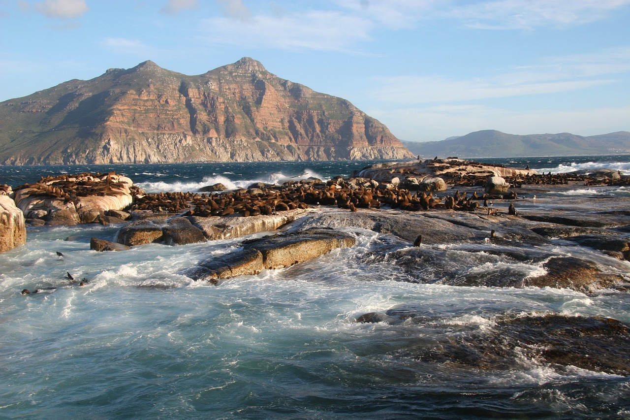 Ultimate South Island Adventure: Glaciers, Mountains, and Lakes