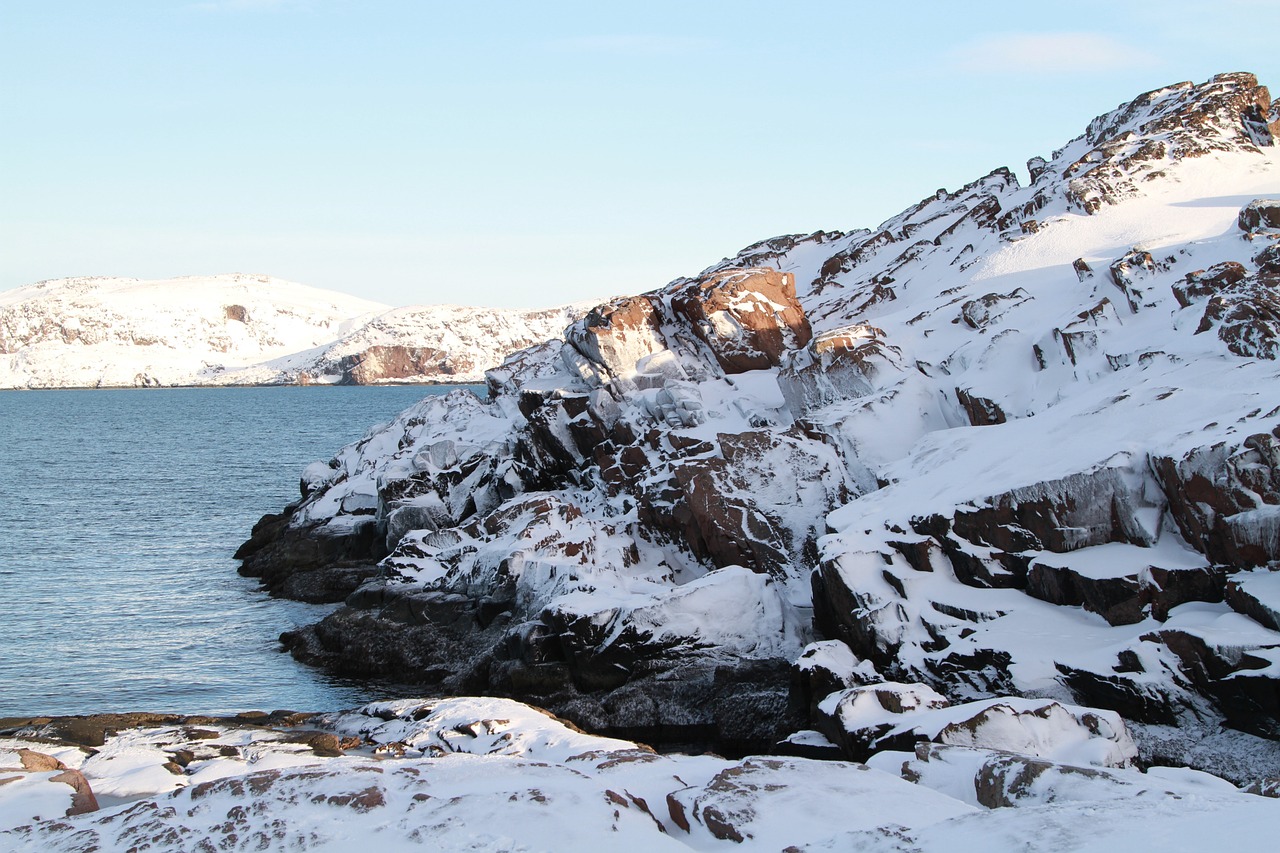 Culinary Delights in Murmansk