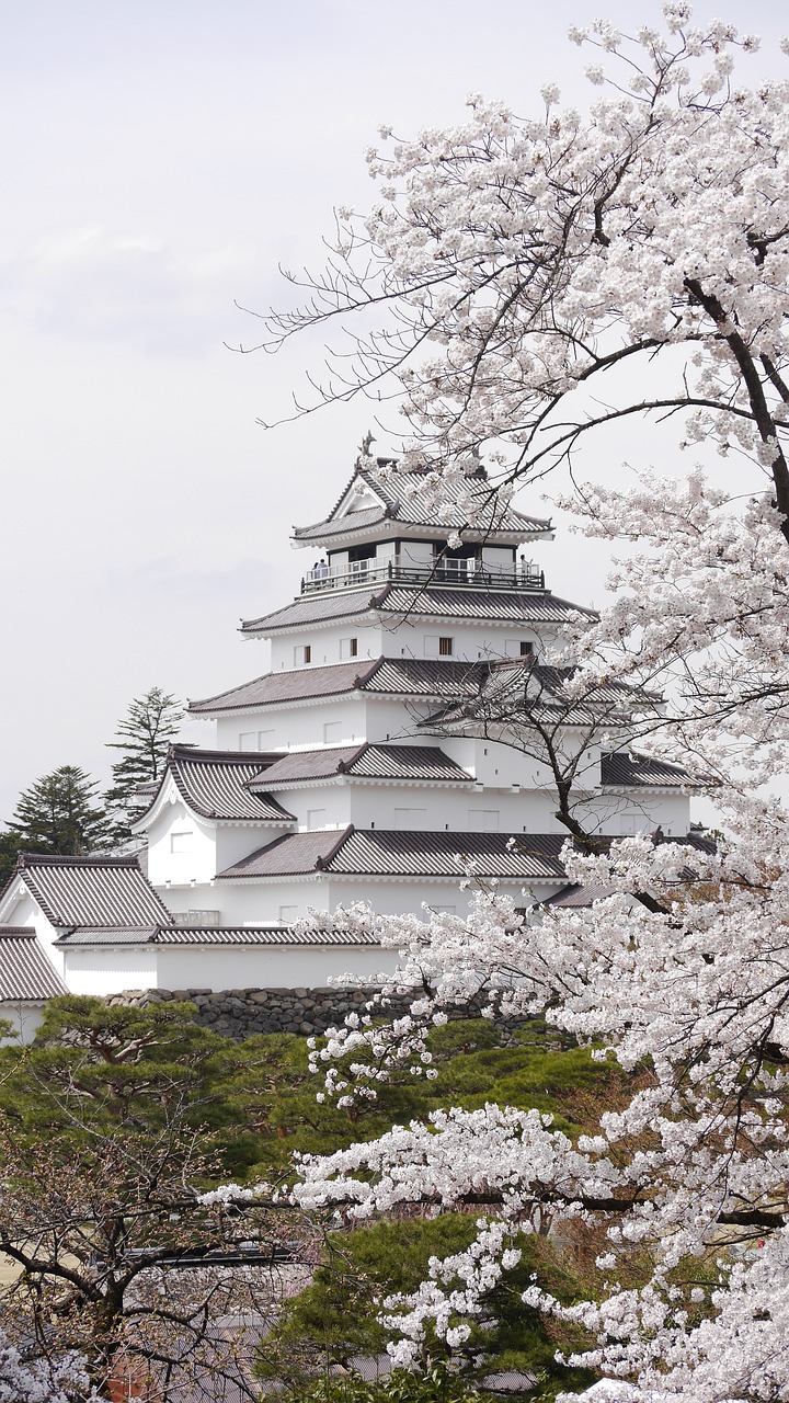 Samurai History, Sake Breweries & Traditional Crafts in Aizu & Kitakata