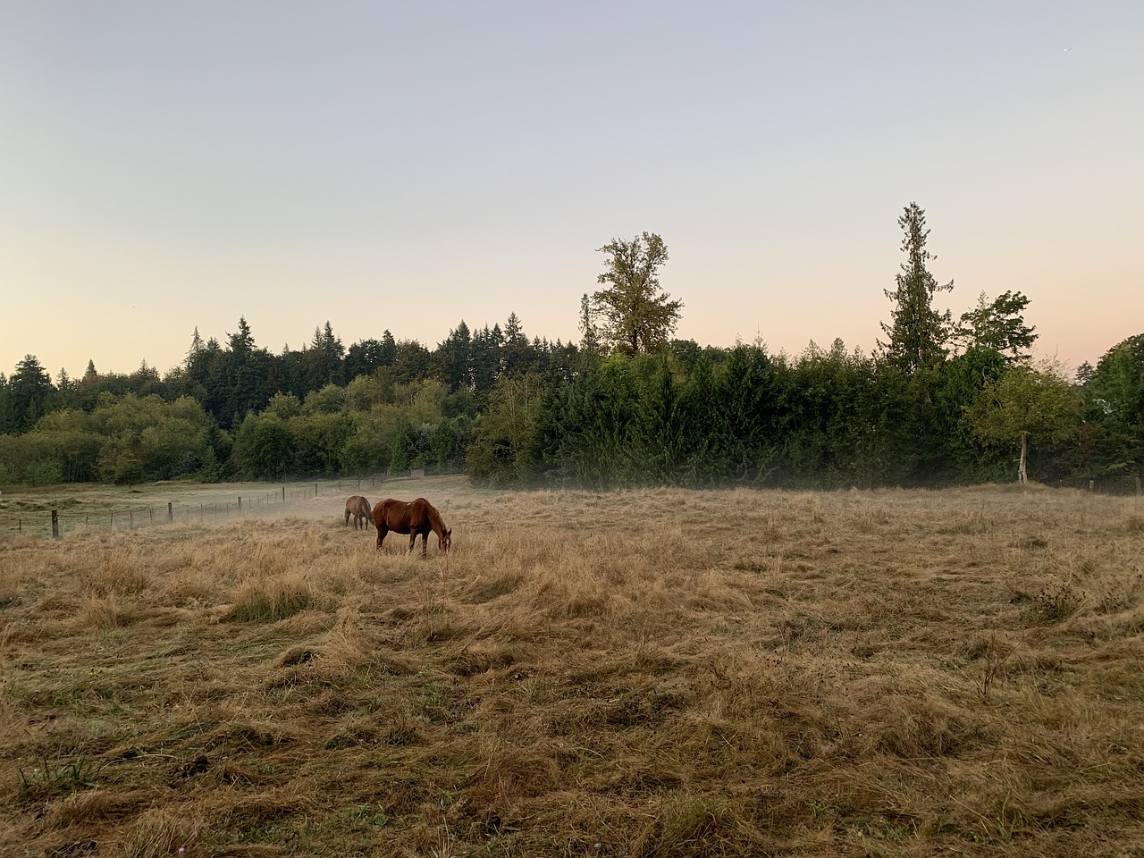 Redmond and Lake Washington Delights