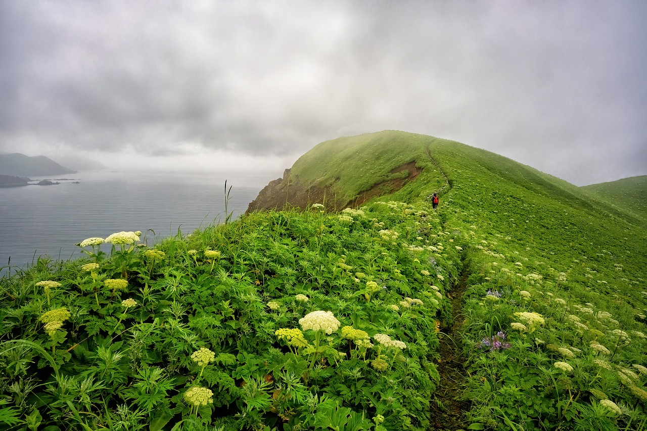 Scenic Road Trip: 10 Days Exploring Hokkaido's Natural Beauty