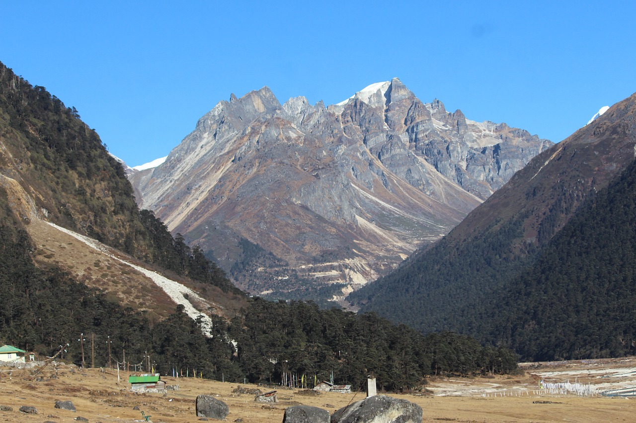 Nature's Bliss in Yumthang Valley