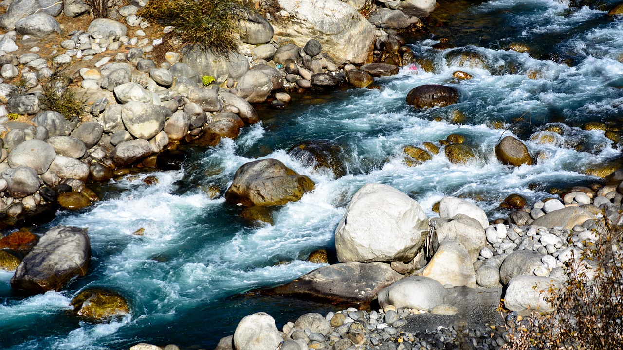 Culinary Delights in Beas River, India