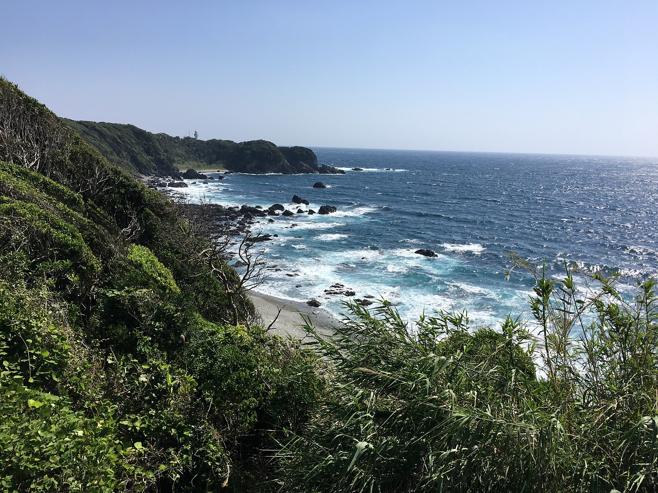 Wakayama Prefecture Adventure: Temples, Nature, and Local Eats