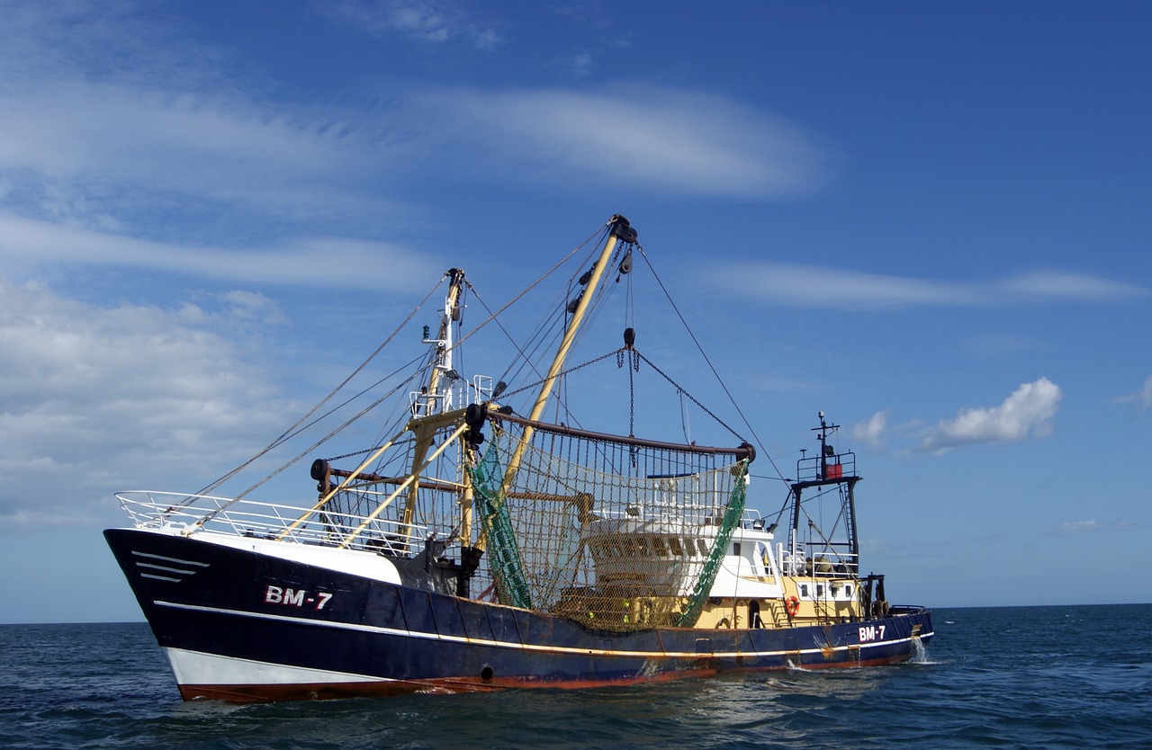 Seaside Charm and Culinary Delights in Brixham, UK