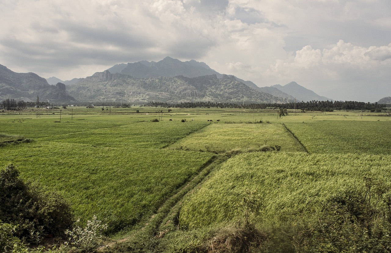 A Day Trip to Kanyakumari from Nagercoil