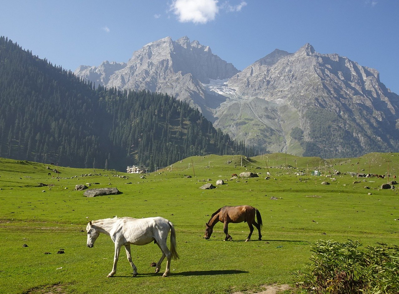 Ultimate Kashmir Experience: Sonamarg, Pahalgam, Gulmarg, and Anantnag