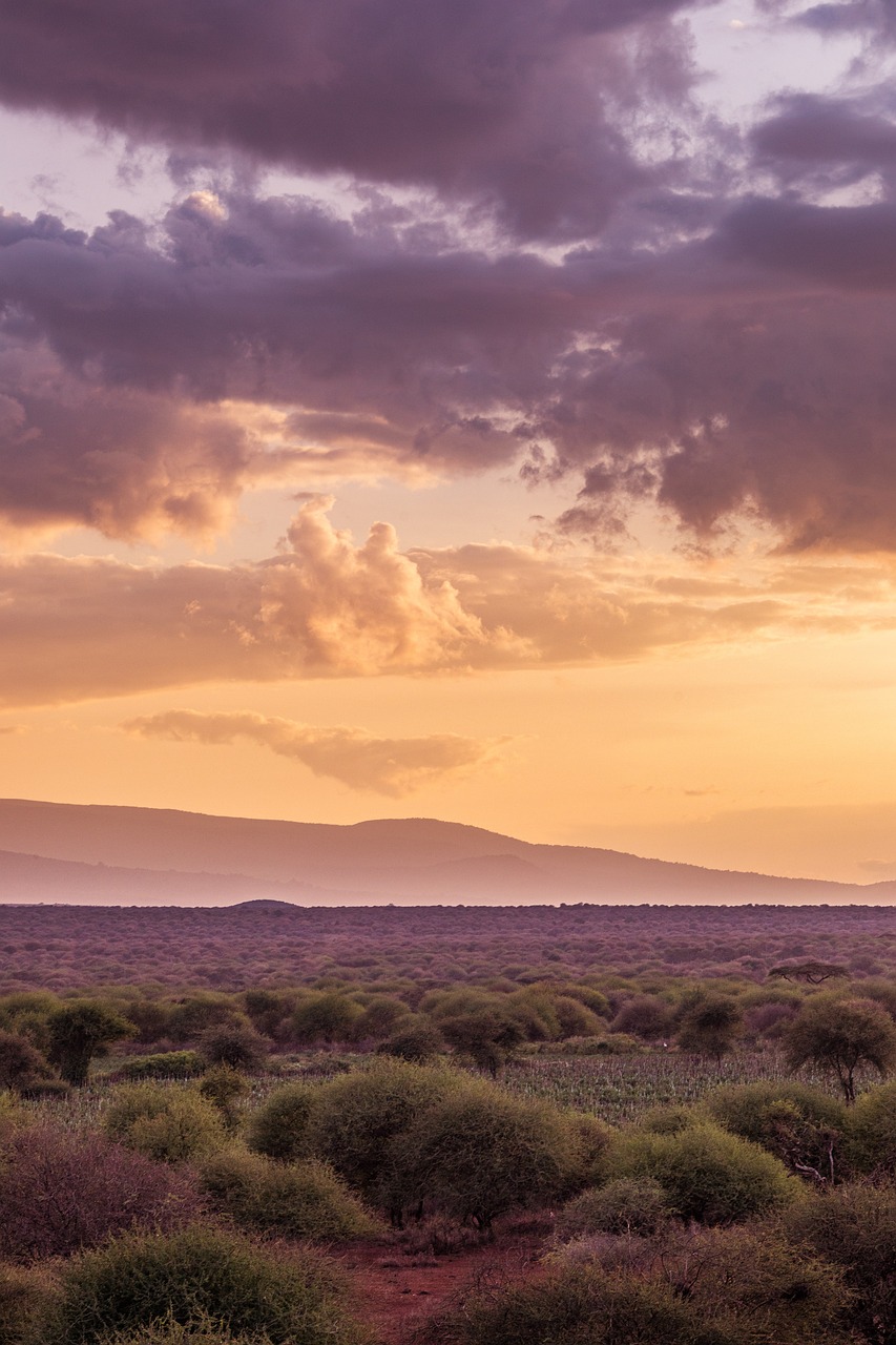 Ultimate Kenyan Adventure: 19 Days of Wildlife, Culture, and Scenic Beauty