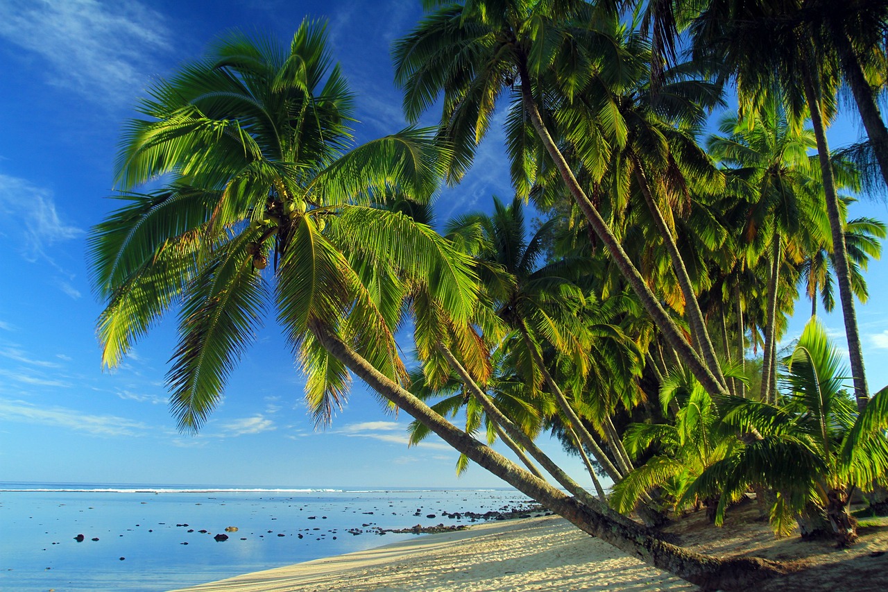 Culinary Delights in Cook Islands