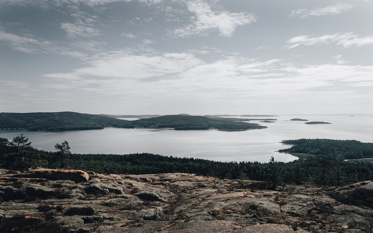 Hiking and Wildlife Adventure in Galloway Forest Park