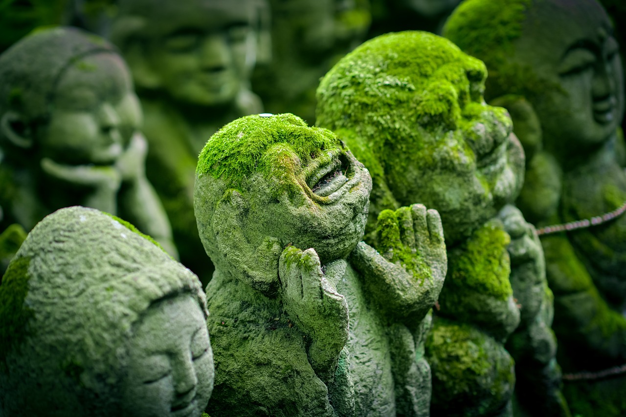 Esplorazione Temples e Delizie Culinarie a Kyoto