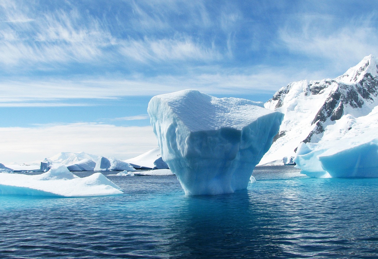 Antarctic Adventure: Ice and Wildlife Expedition