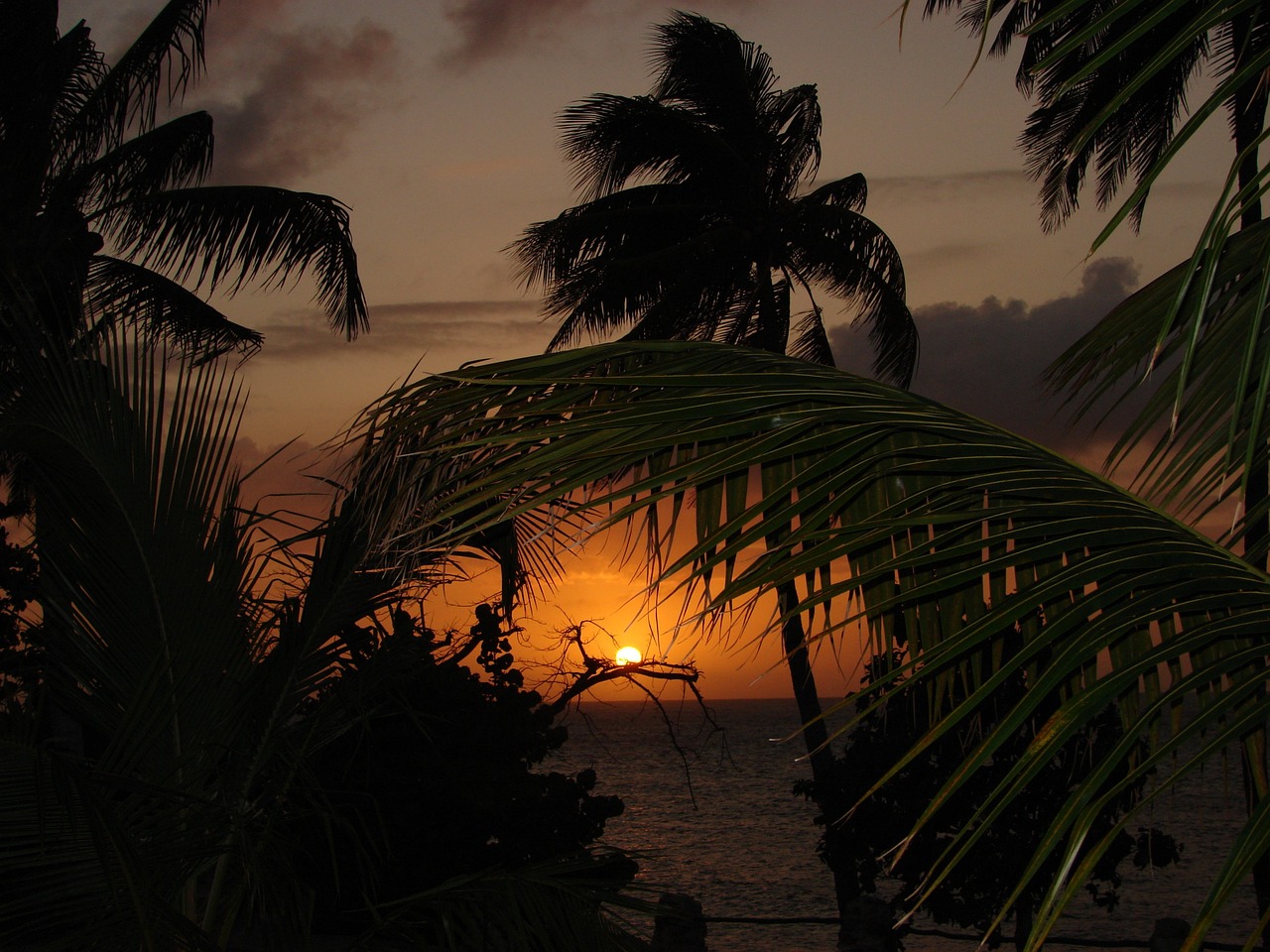 Pirate Adventure in the Caribbean: 21 Days of Rum, Sea, and Treasure