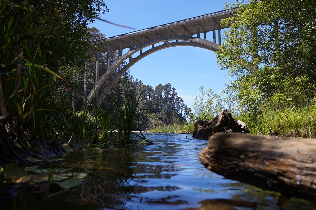 Adventure and Luxury in Mendocino County