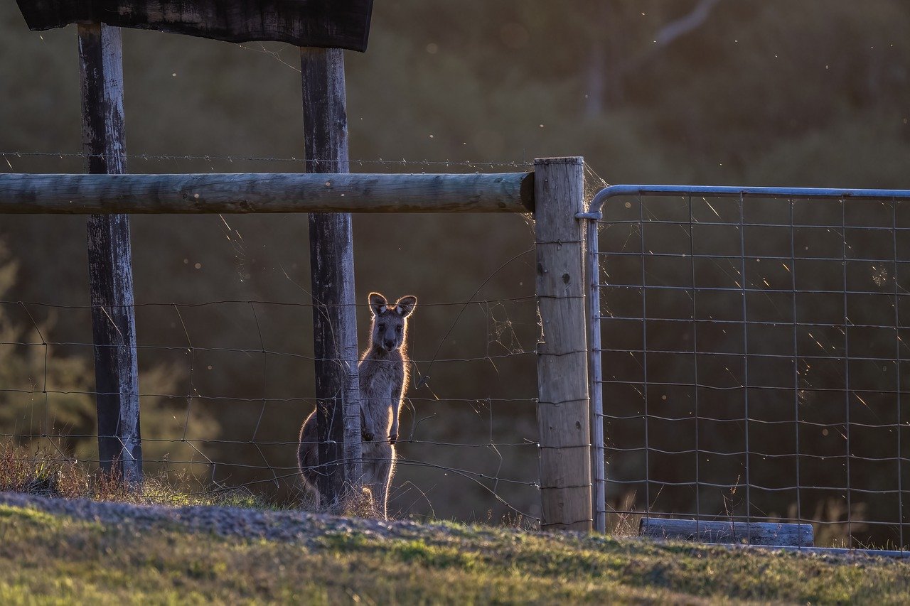 Riverside Delights in Kangaroo Valley