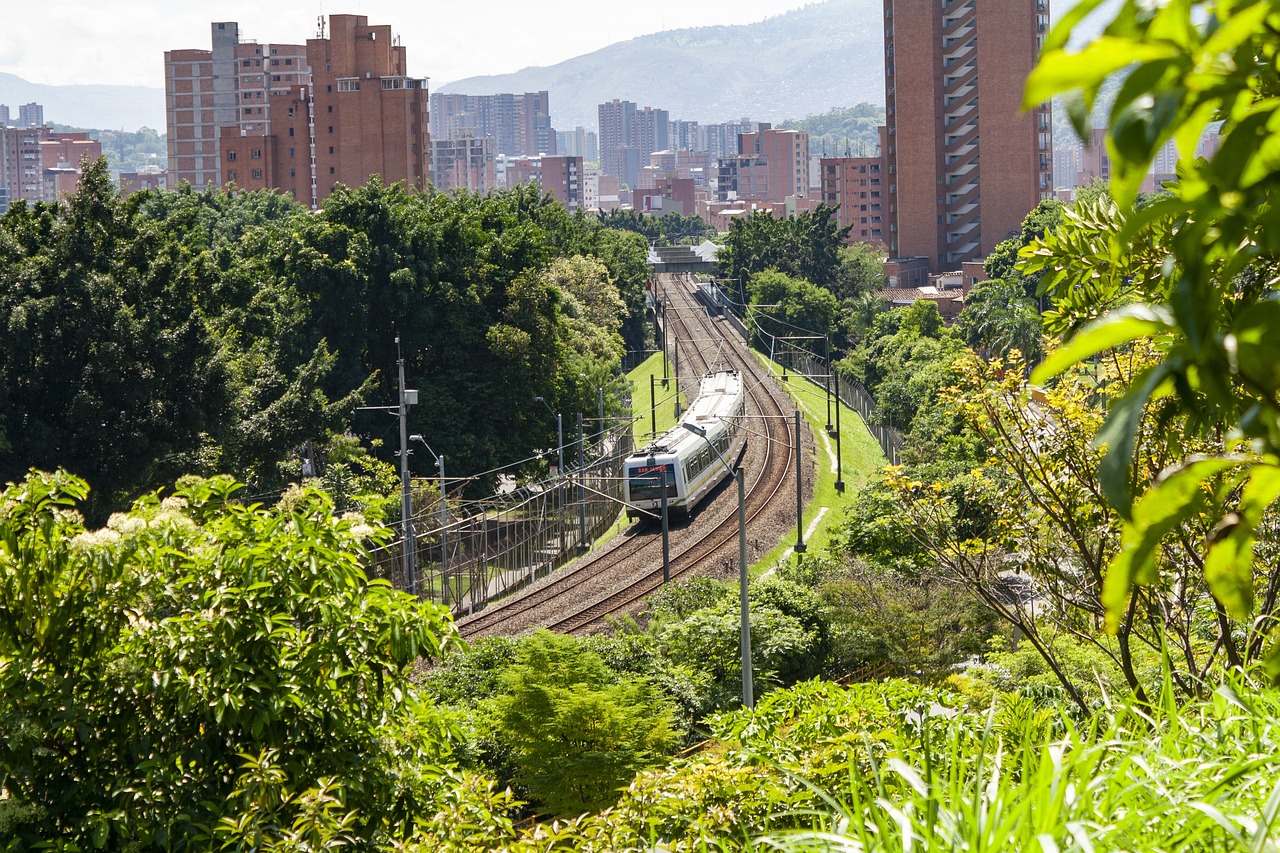 Experiencia Auténtica en Medellín: Cultura, Naturaleza y Vida Nocturna