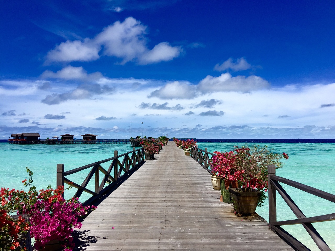 Marine Paradise Exploration in Semporna & Mabul