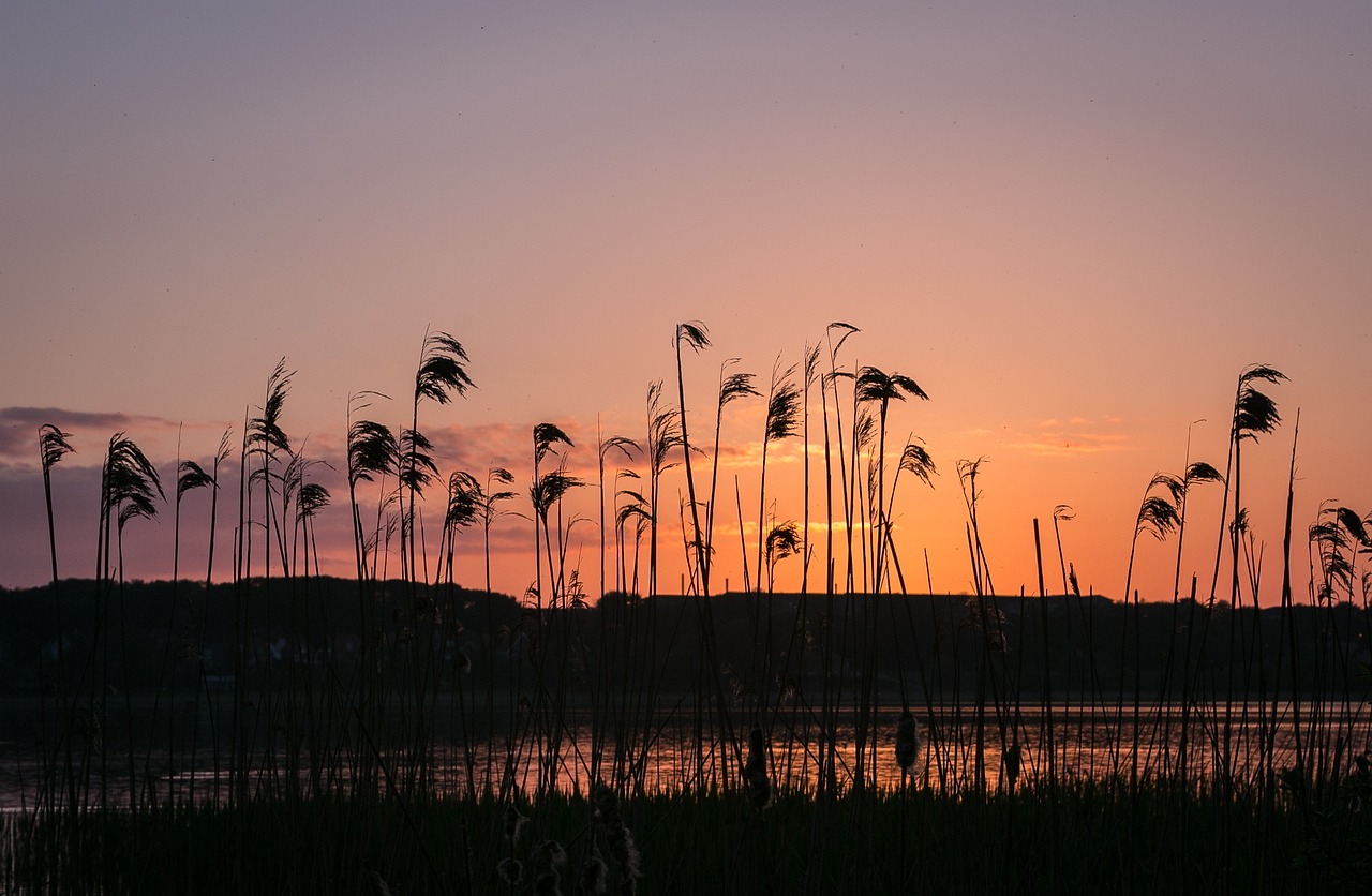 1-Day Adventure in Viborg