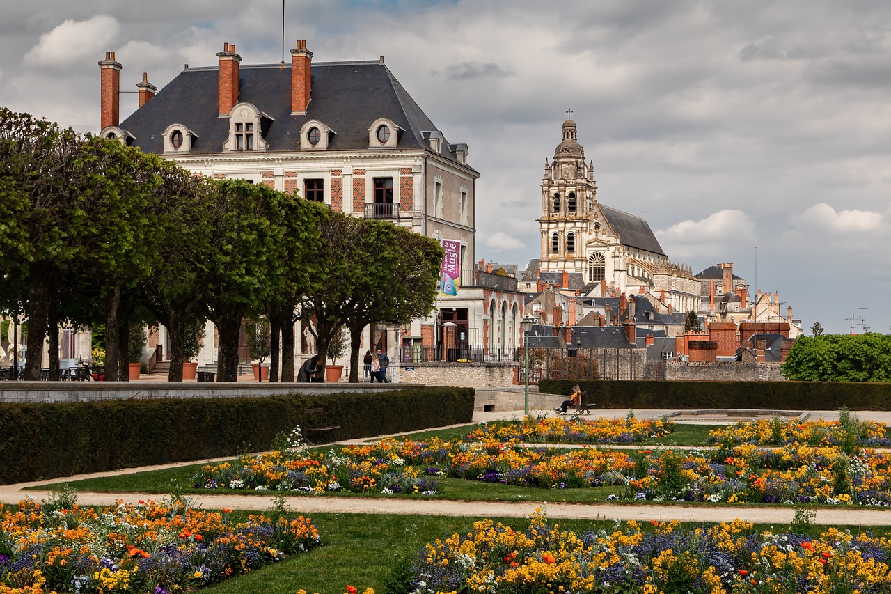 Découverte Culturelle de Blois et des Châteaux de la Loire