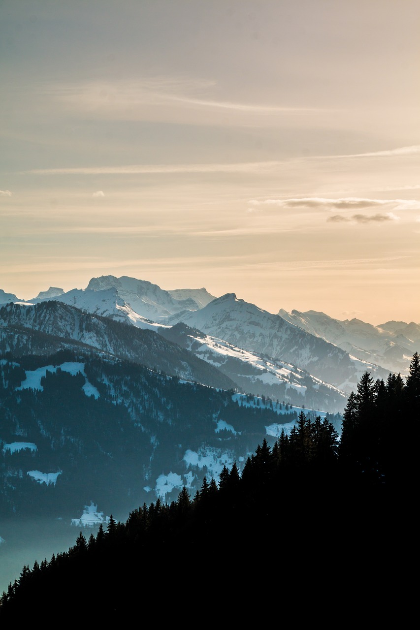 Alpine Adventure in Beatenberg with Panoramic Views