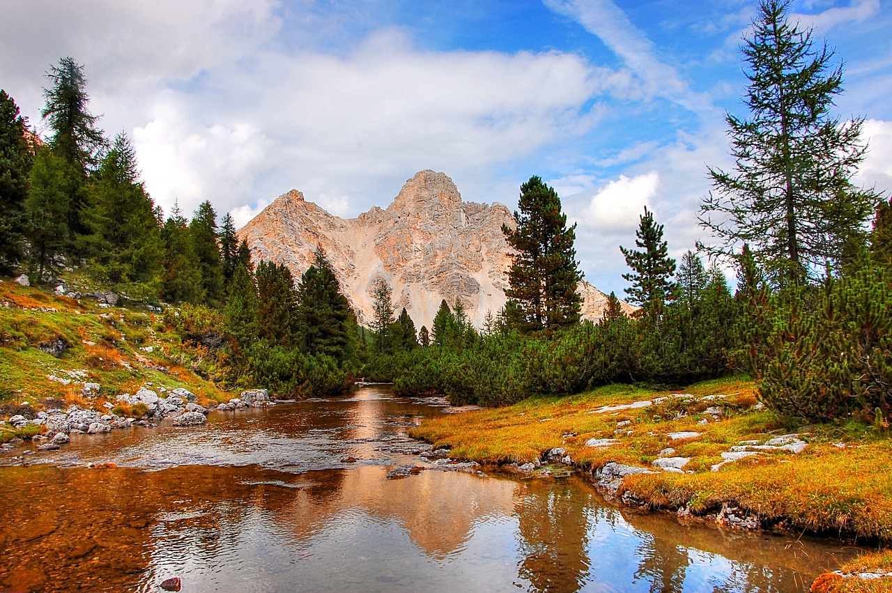 Scenic Splendor & Culinary Delights in South Fork, Colorado