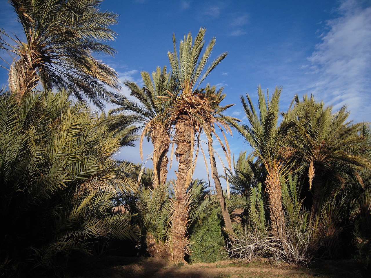 A Culinary and Cultural Journey through Maghreb in 5 Days