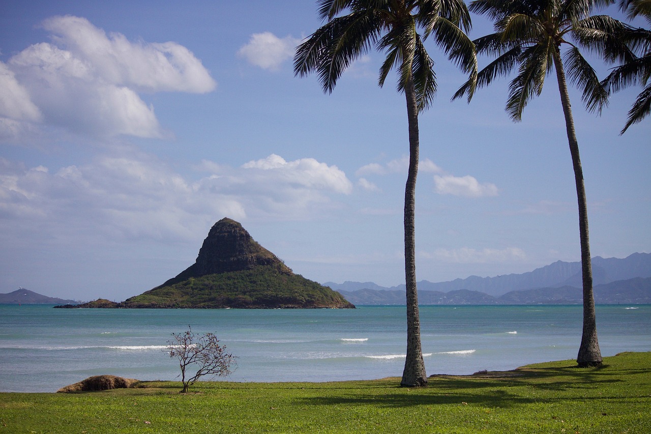 Détente et Relaxation à Oahu: Plages, Spas et Jardins