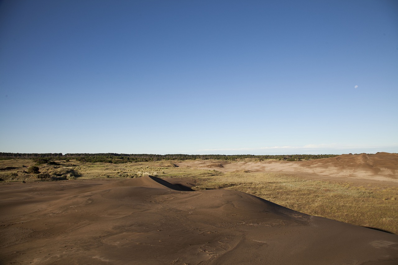 Explorando la Gastronomía de Bahía Blanca