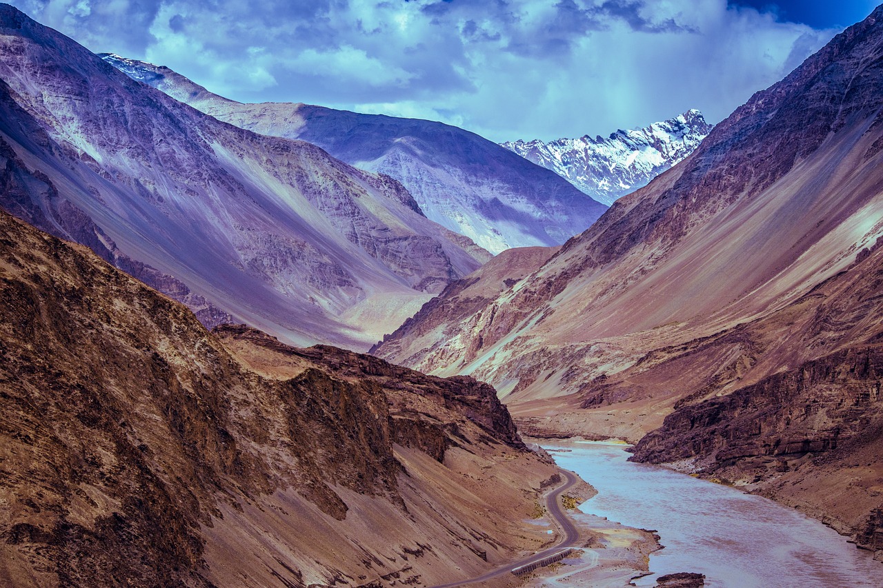 A Serene Ladakh Escape: Apricots and E-Biking