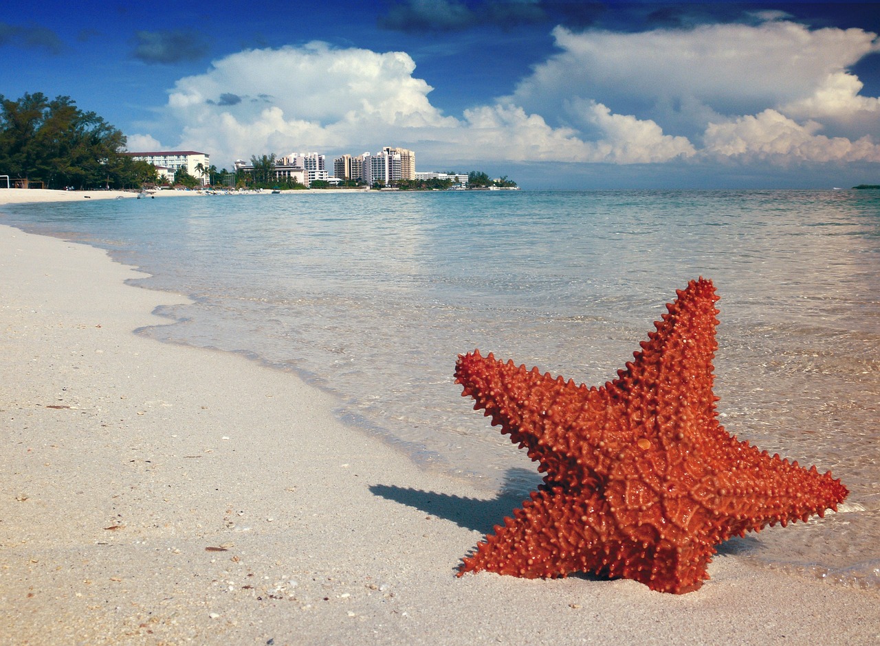 Ultimate Beach Bliss in Nassau