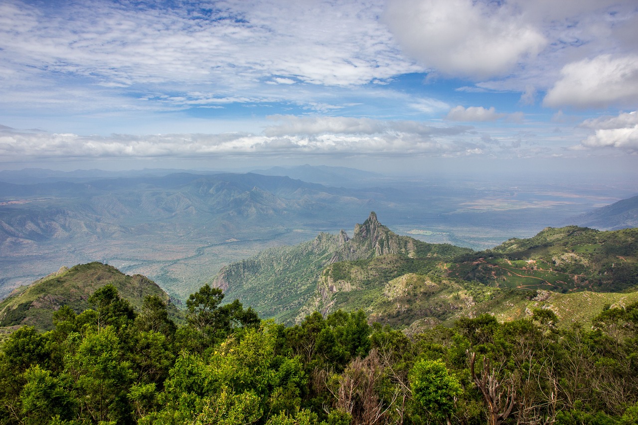 Tea Gardens and Mountain Views in Ooty