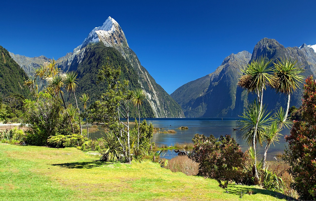 Ultimate Fiordland National Park Adventure