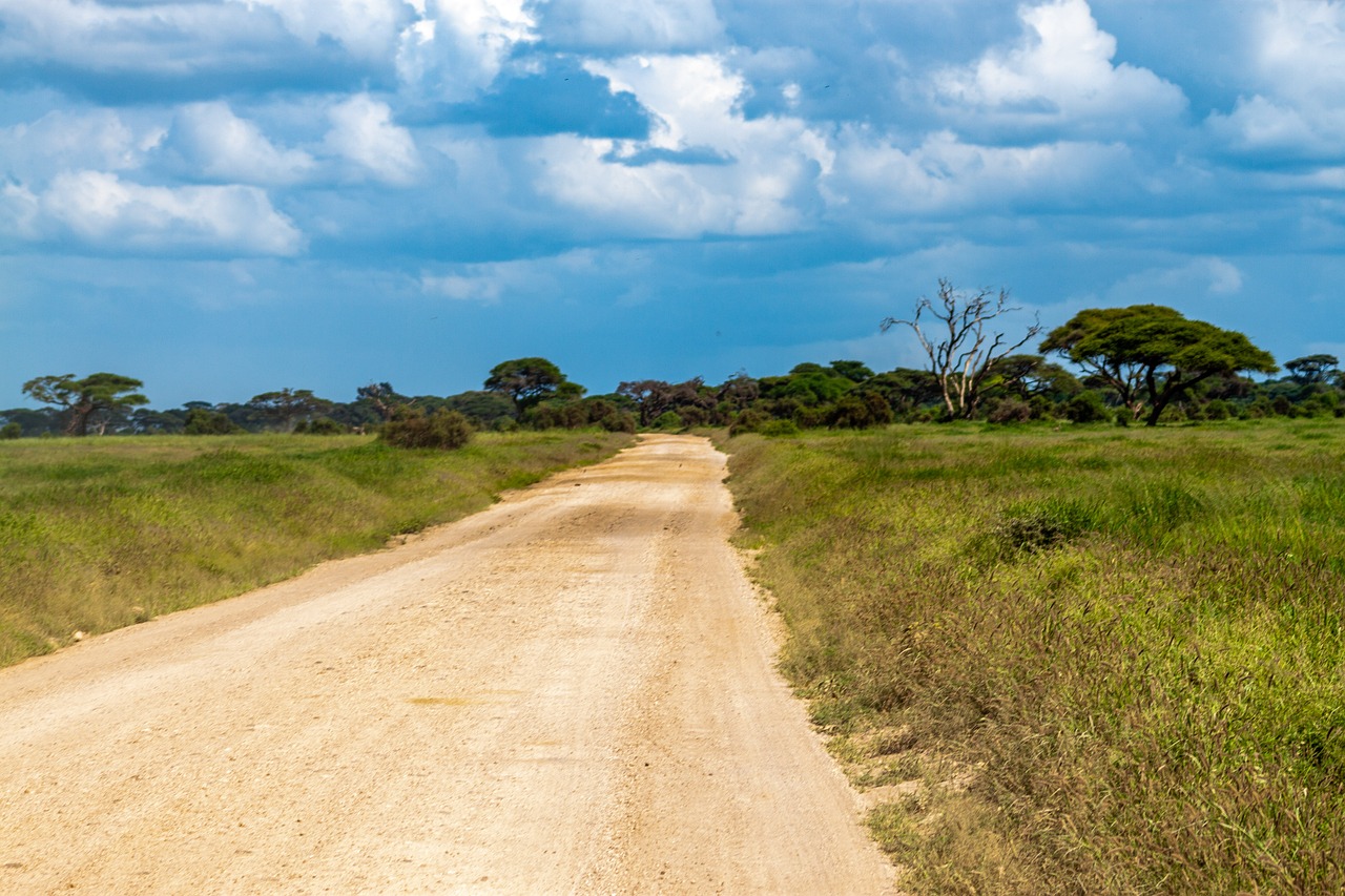 Safari Adventure in Amboseli with Mt. Kilimanjaro Views