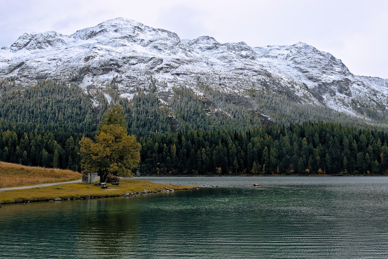 Luxury Day in St. Moritz: Fine Dining and Scenic Views