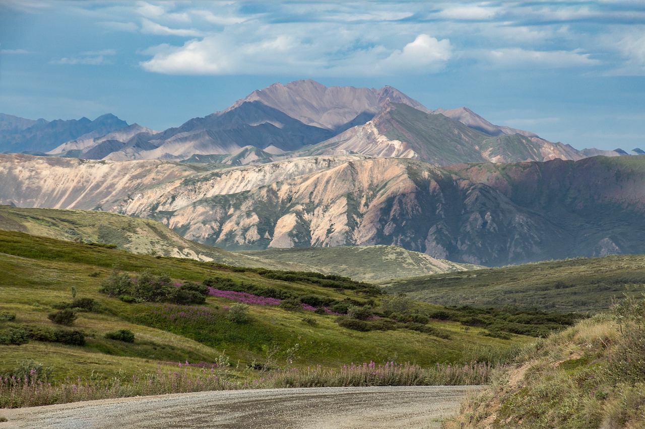 Romantic Wilderness Retreat in Denali National Park