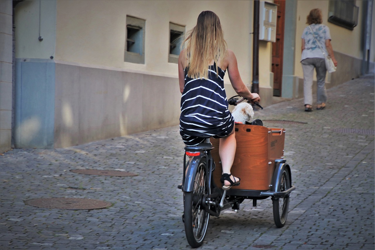 Charming Stein am Rhein: Scavenger Hunts and Local Cuisine