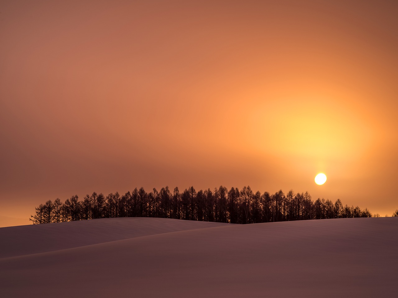 Scenic Beauty and Culinary Delights in Biei, Hokkaido