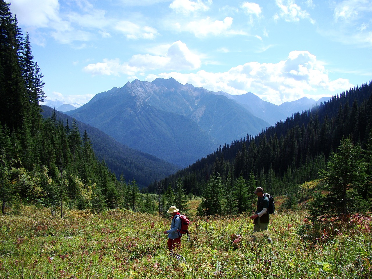 Wilderness Escape in Kootenay National Park